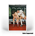 FCA x HNM 30x40 cm Fotodruck FUGGERSTADT (1)