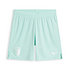 Mint Shorts mit FCA Wappen (1)