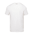 Rückansicht des Shirts Nahansicht des FCA Wappens  (2)
