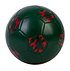 Rückseite des FCA Fußballs  (2)