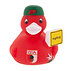 Rote Badeente  (2)