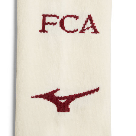 FCA-Stutzen 26/27 Heim
