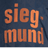 Detail des Ärmelsponsors „siegmund“ in Kupfer-Optik (8)