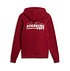 FCA-Hoodie Skyline 1907 (5)