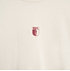 FCA Wappen (6)