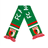 Grüner schal mit FC Augsburg Schriftzug (4)