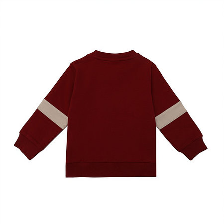 FCA-Baby Sweatshirt