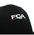 FCA Schriftzug im Detail (3)