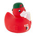 Rote Badeente  (3)
